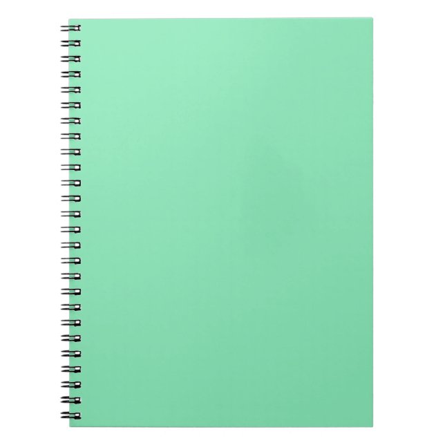 Pastel Mint Green Notebook (Front)