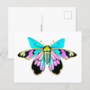 Pastel Moth, watercolor style, Postcrossing Postcard