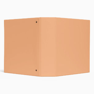 Pastel Orange Binder