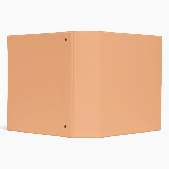 Pastel Orange Binder (Background)