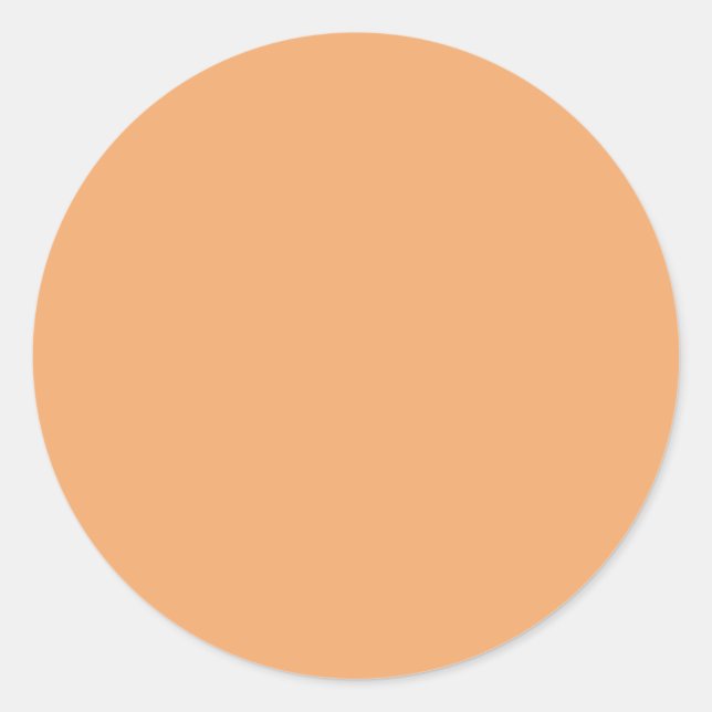 Pastel Orange  Round Sticker (Front)
