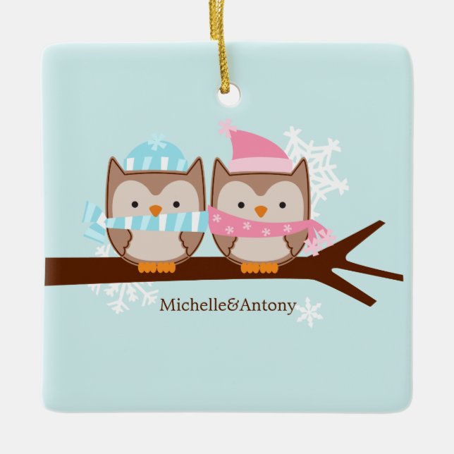 Pastel Owls Ornaments (Front)