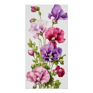 Pastel Petals: Stylized Sweet Pea Blossom Poster