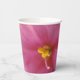 Pastel Pink African Violet (Saintpaulia) Flower Paper Cups