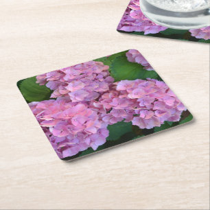 Pastel pink Hortensia hydrangea flowers  Square Paper Coaster