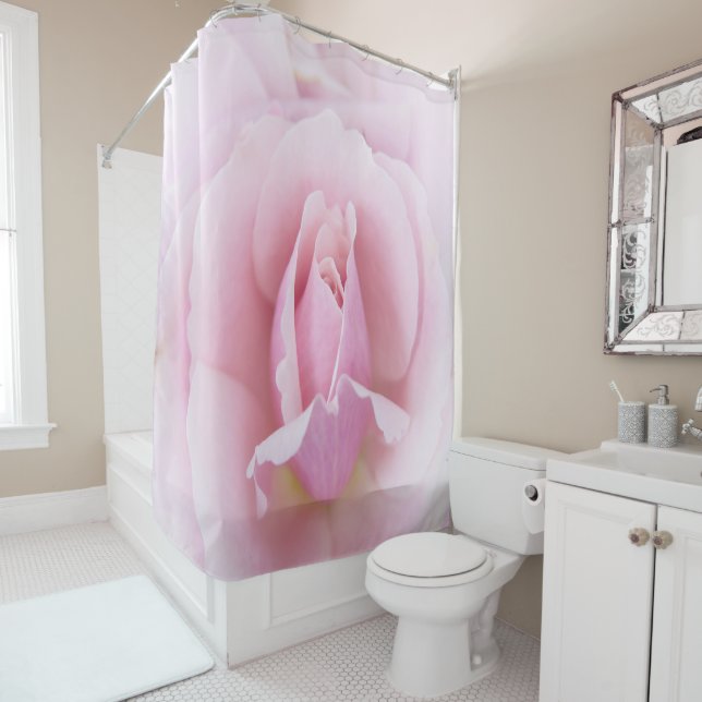 Pastel Pink Rose (In Situ)