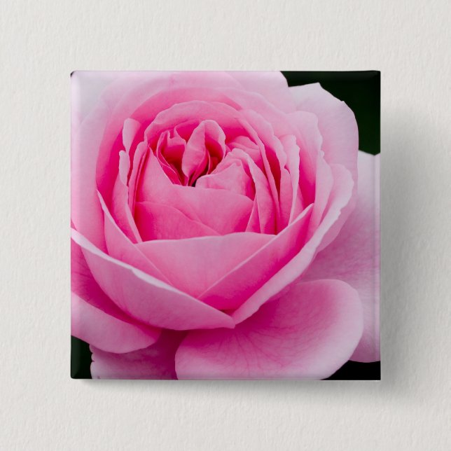 Pastel Pink Rose Pin (Front)