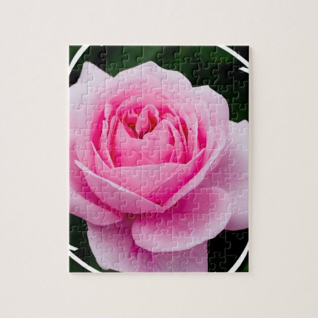 Pastel Pink Rose Puzzle (Vertical)