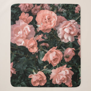Pastel pink roses growing in the garden in soft li sherpa blanket