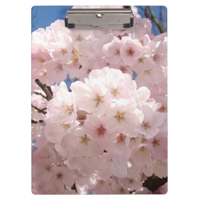 Pastel Pink Tree Blossoms clipboards Custom Office (Front)
