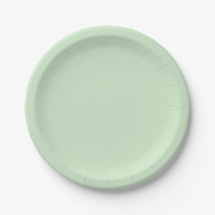 Pastel Pistachio Solid Colour   Classic   Elegant Paper Plate