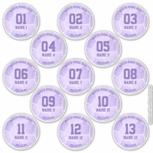 pastel purple girly soccer birthday party favours