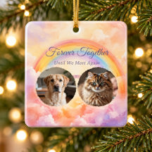 Pastel Rainbow Bridge Two Pet Photo Memorial
