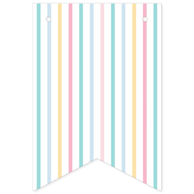 Pastel Rainbow Stripe Banner (First Flag)