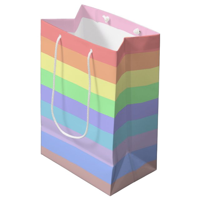 Pastel Rainbow Stripes Medium Gift Bag (Front Angled)