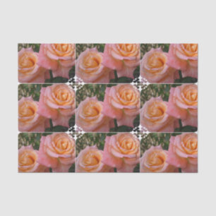 Pastel Roses Tissue Paper