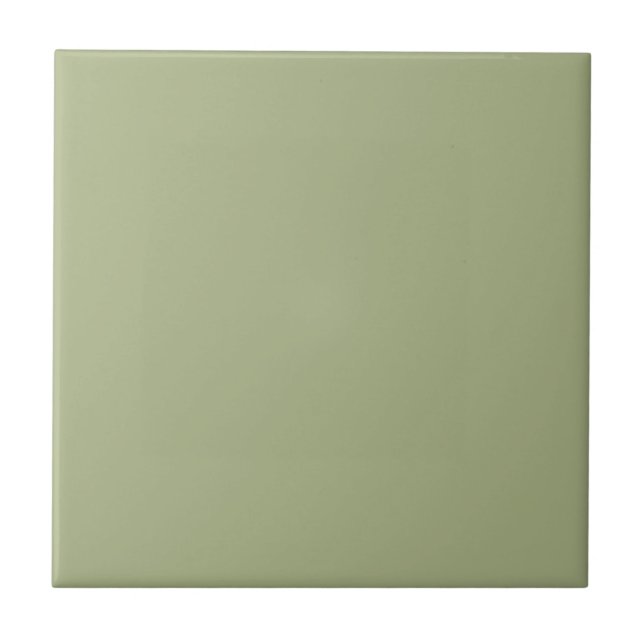 Pastel Sage Green Solid Colour Pairs To SW 6430 Tile (Front)