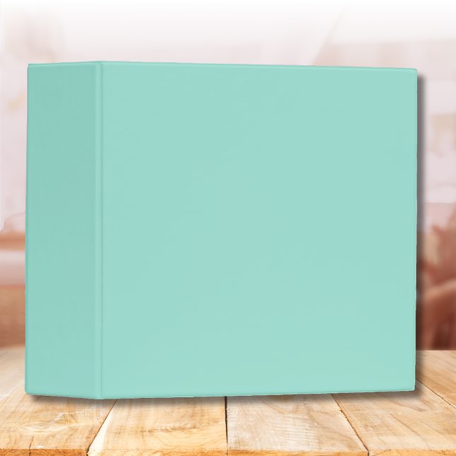 Pastel Seafoam Solid Colour | Classic Binder (Creator Uploaded)