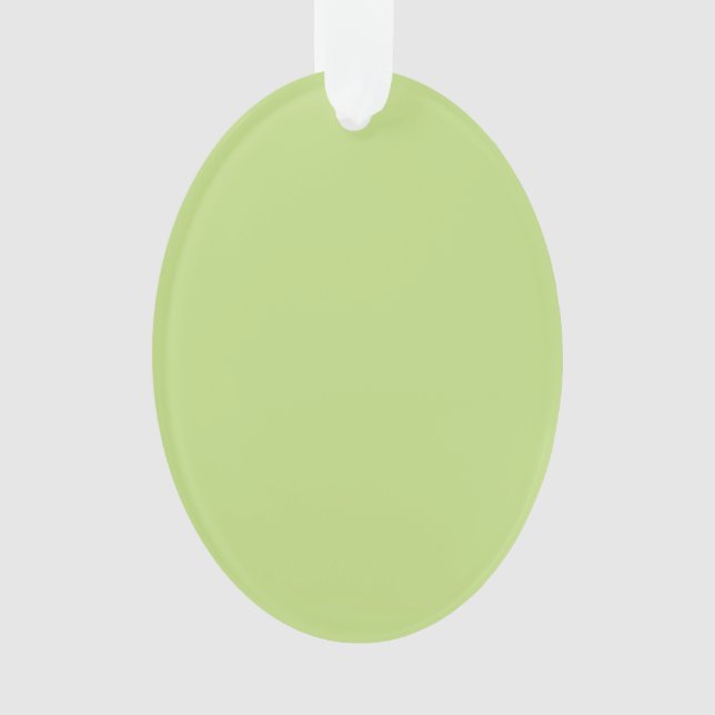 Pastel Spring Green Colour Decor Ornament (Front)