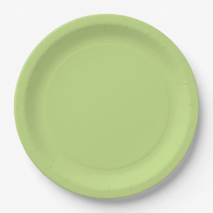 Pastel Spring Green Colour Decor Paper Plate