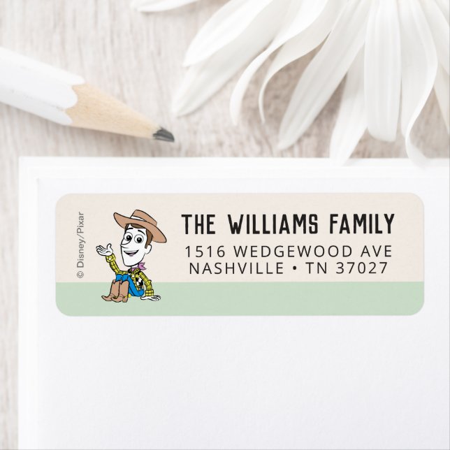 Pastel Toy Story | Woody Birthday  (Insitu)