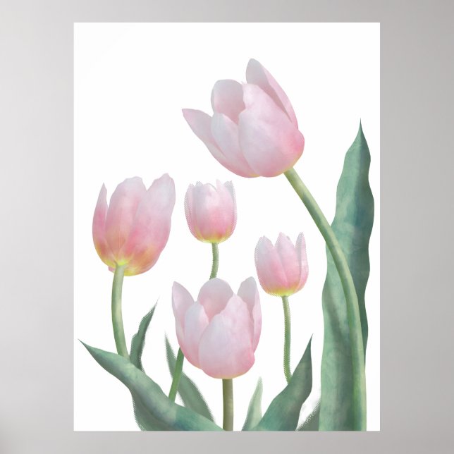 Pastel Tulip Floral Design Poster (Front)