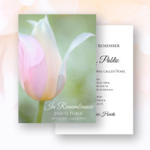 Pastel Tulip Flower Spring Death Anniversary
