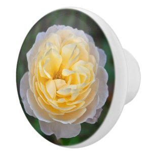 Pastel Yellow Pink Rose Ceramic Knob