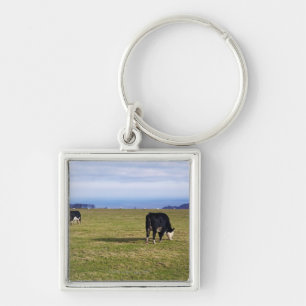 Pastoral scene of cows in field overlooking keychain