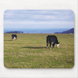 Pastoral scene of cows in field overlooking mouse pad
