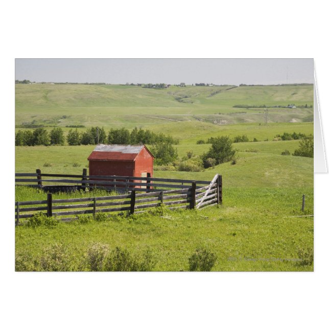 Pasture Fields With A Red Shack And A Fenced Area (Front Horizontal)