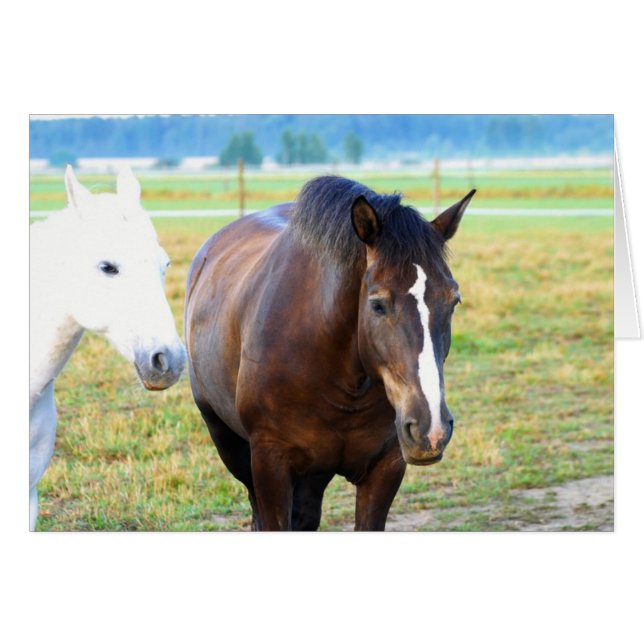 Pasture Mates (Front Horizontal)