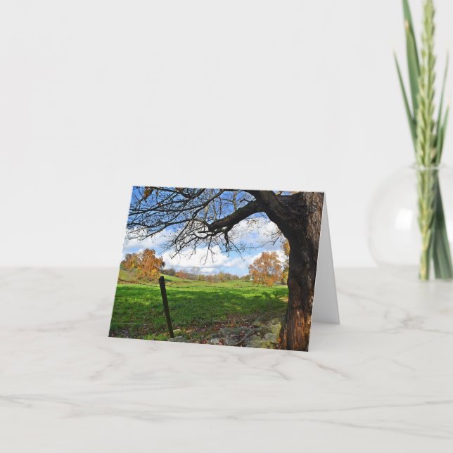 Pasture Scene Note Card (Front)