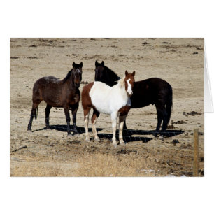 Pasture Trio