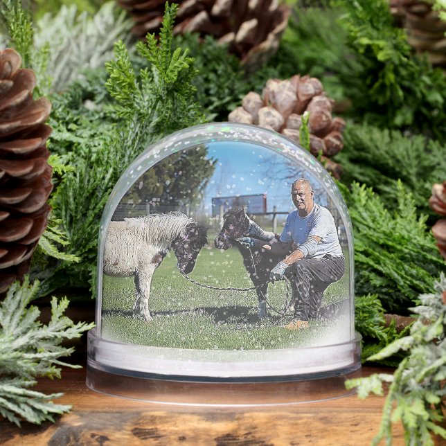 Pat - Babies - Sample Snowglobe (Winter)