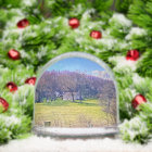 Pat* - Jadie Snow Globe House édition photo - 2025