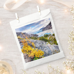 Patagonia Favour Bag