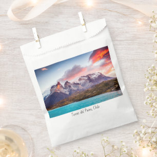 Patagonia Favour Bag