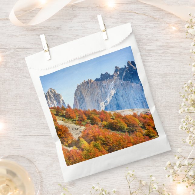 Patagonia Favour Bag (Clipped)