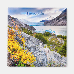 Patagonia Magnet