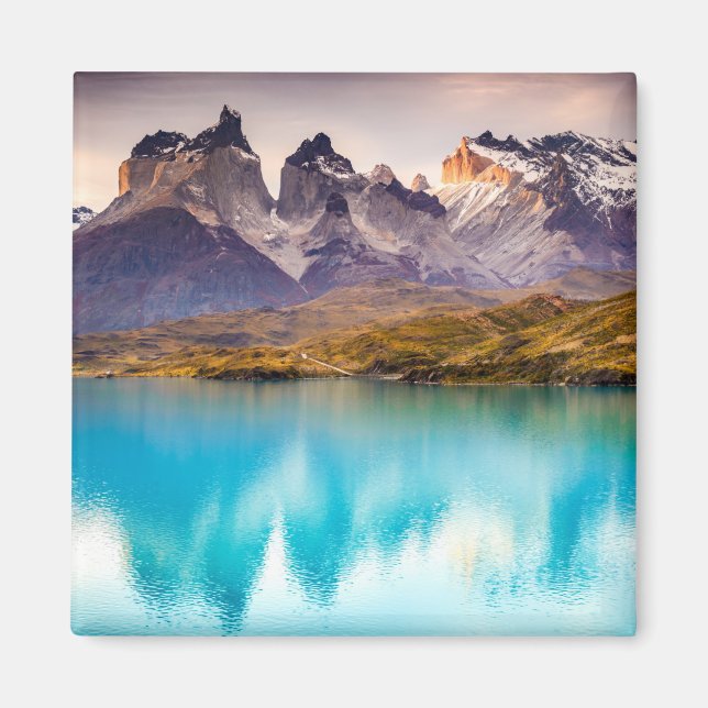 Patagonia Magnet (Front)