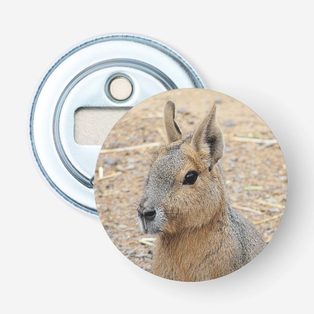 PATAGONIAN MARA   BOTTLE OPENER (Front)