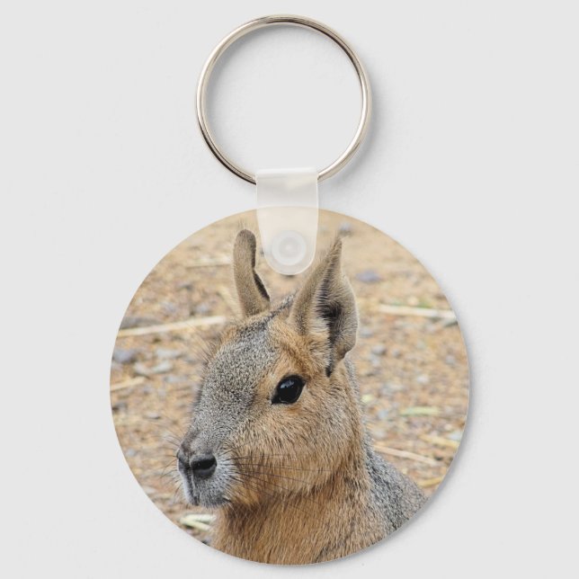 PATAGONIAN MARA   KEYCHAIN (Front)