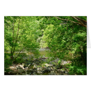 Patapsco River View Maryland Nature Photography