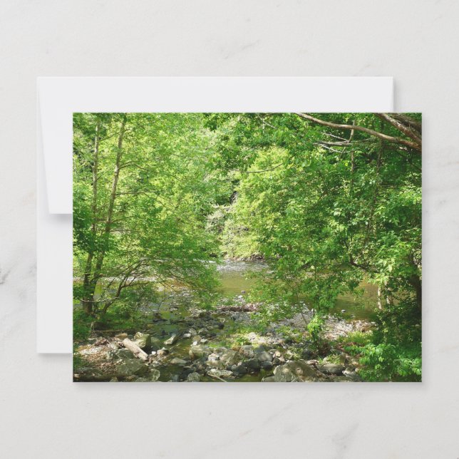 Patapsco River View Maryland Nature Photography (Front)