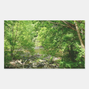 Patapsco River View Maryland Nature Photography Sticker