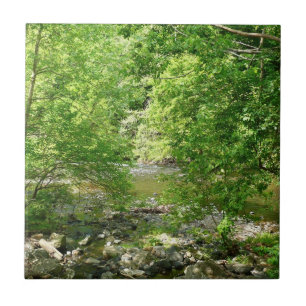 Patapsco River View Maryland Nature Photography Tile