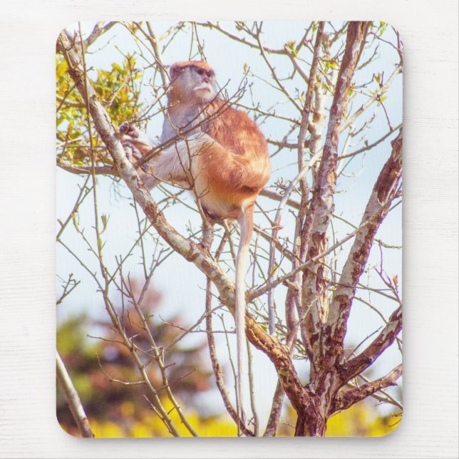 Patas is Up a Tree Mouse Pad (Front)