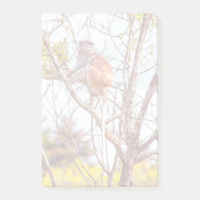 Patas is Up a Tree Post-it Notes (Front)
