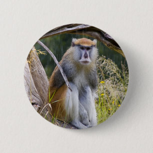 Patas Monkey 2 Inch Round Button